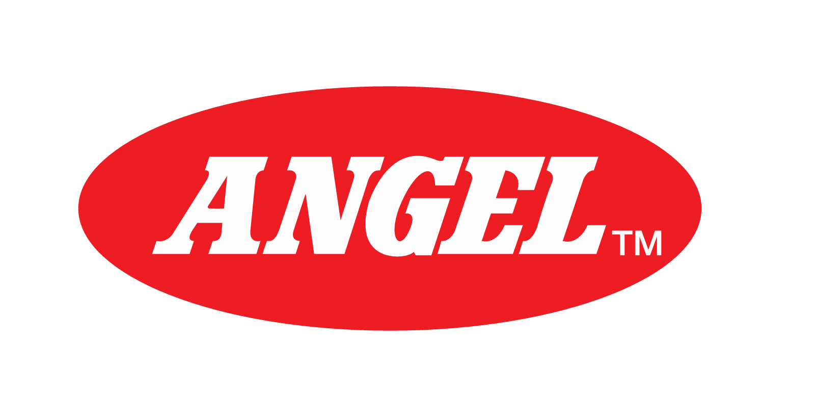 Angel Group Logo.png