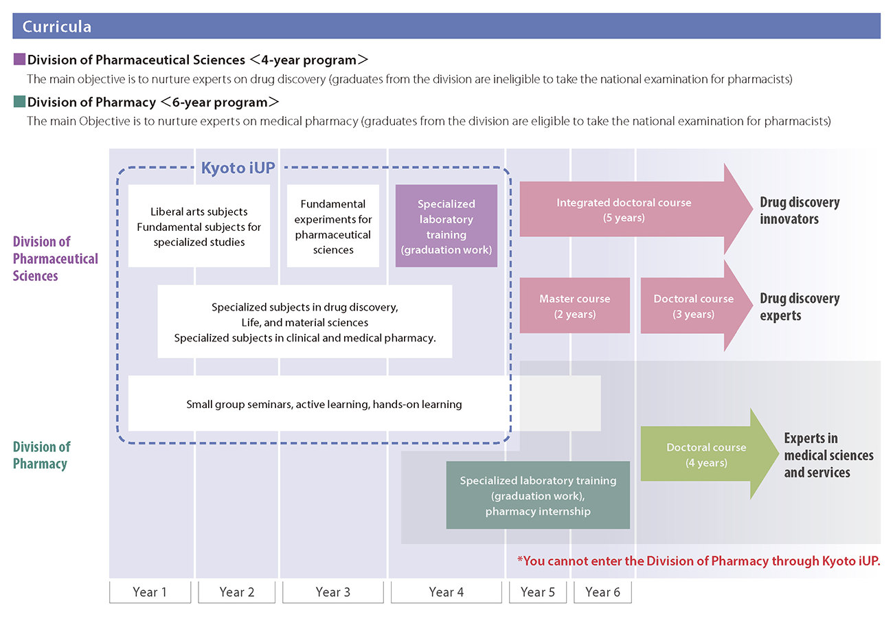 https://www.iup.kyoto-u.ac.jp/images/Faculty_Pharmaceutical_Sciences_curricula.png